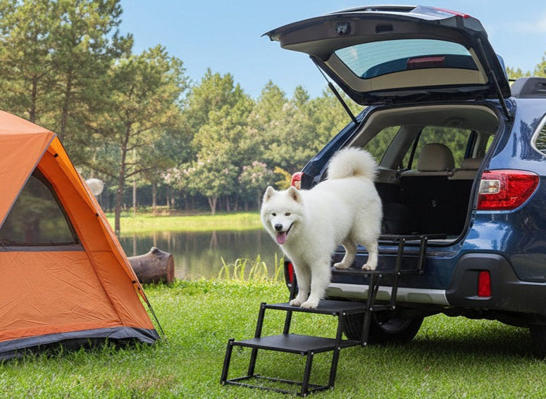 Blue SUV with open trunk, orange tent, and white dog on a grassy area near a lake.