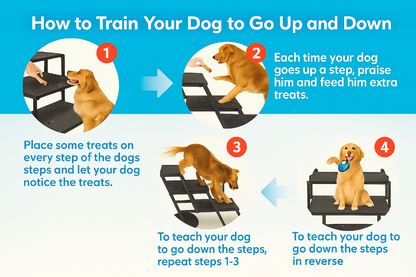 Step-by-step guide on training a dog to go up and down stairs with illustrations and text.